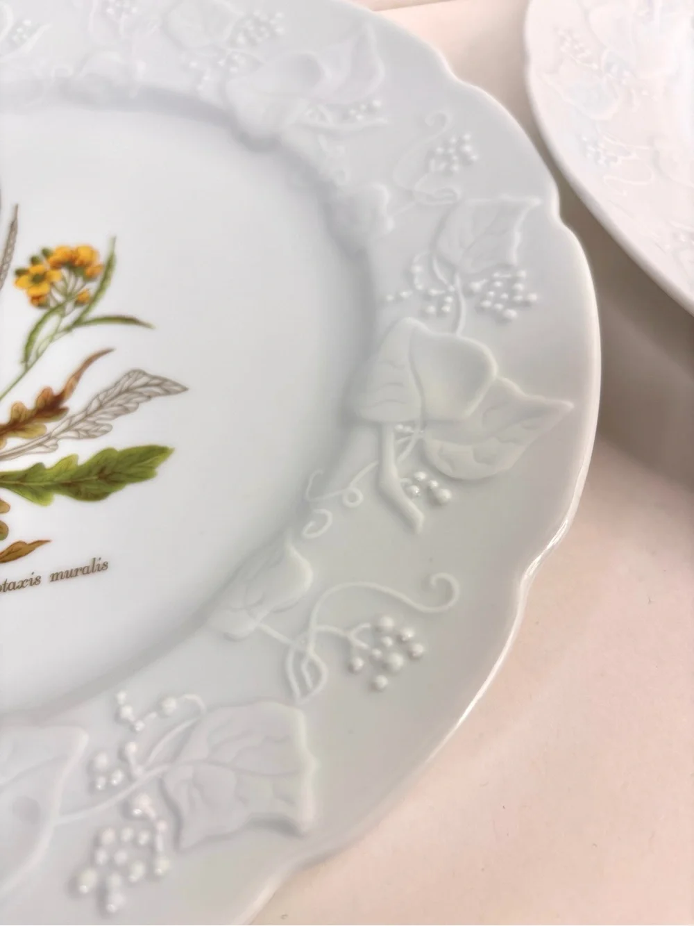 Dansk Ivy Embossed White Porcelain Flower Botanical Luncheon Plates France Set 4